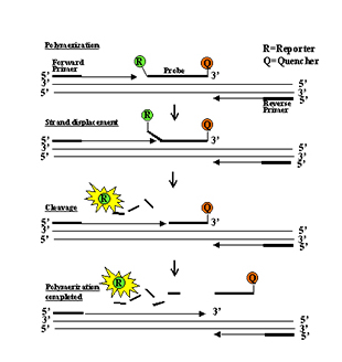 888集团(中国)有限公司官网 -welcome
